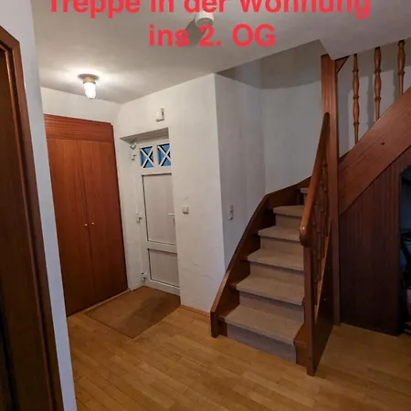 Hengstmanns זינקסט