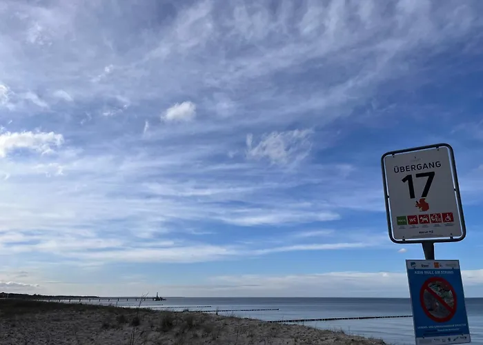 Hengstmanns * ツィングシュト